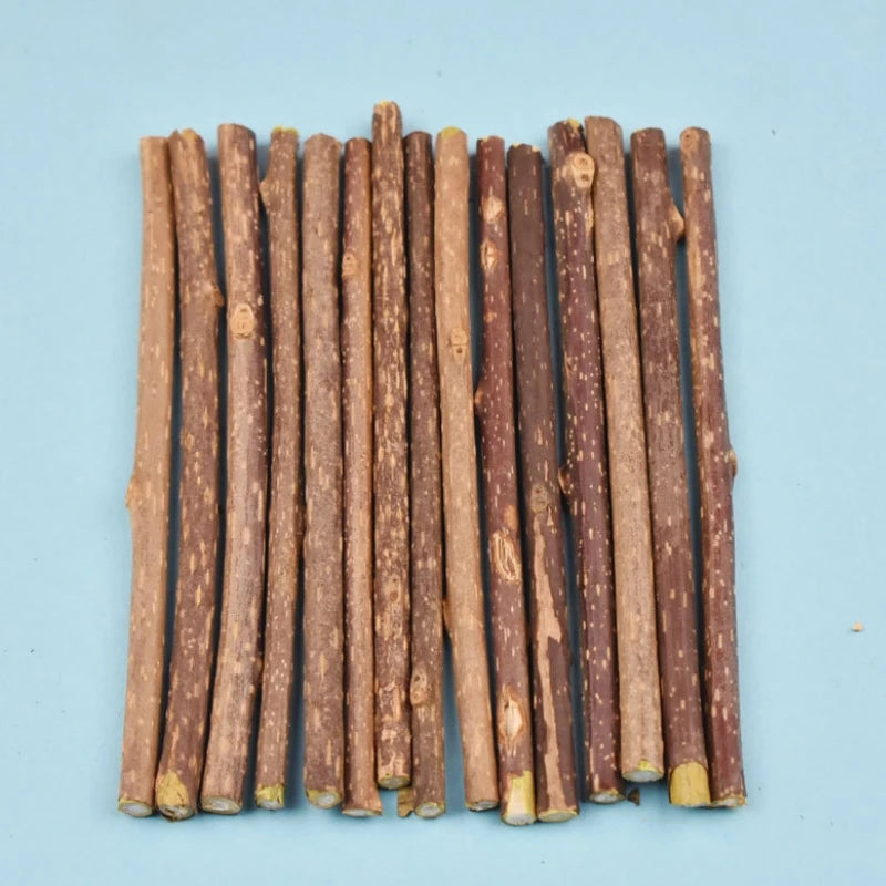 Natural Silvervine Sticks for Cats Teeth Cleaning Chew Toys Kitten Teething Training Catnip Teaser Pet Supplies