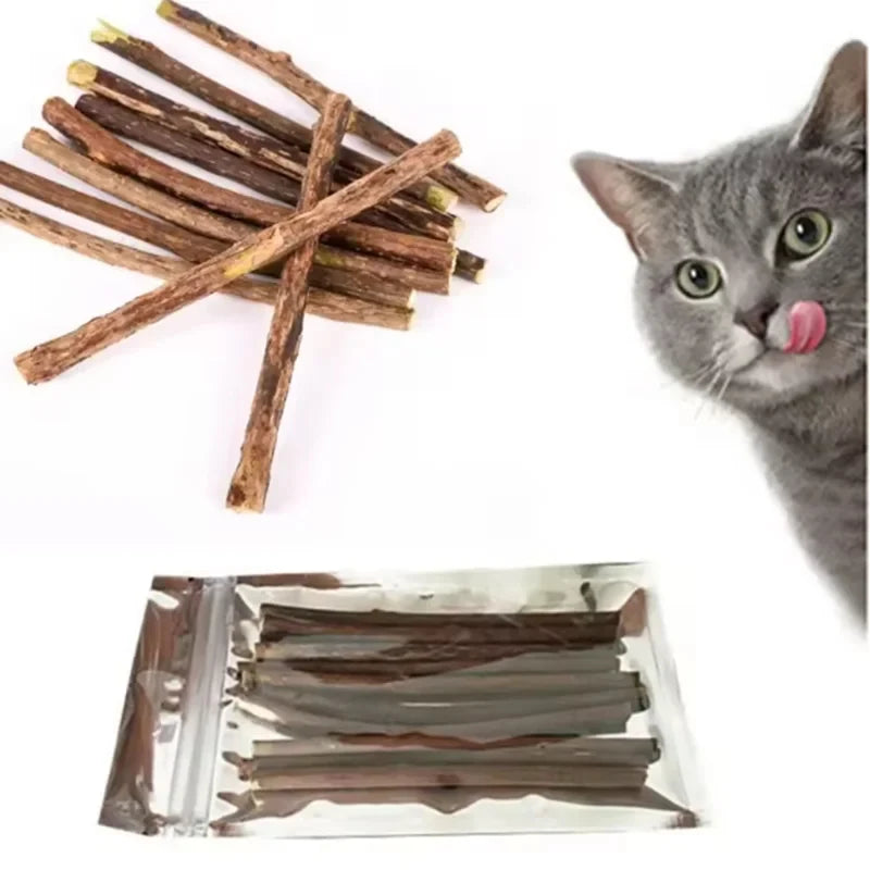 Natural Silvervine Sticks for Cats Teeth Cleaning Chew Toys Kitten Teething Training Catnip Teaser Pet Supplies