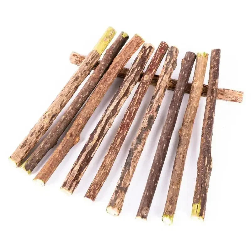Natural Silvervine Sticks for Cats Teeth Cleaning Chew Toys Kitten Teething Training Catnip Teaser Pet Supplies