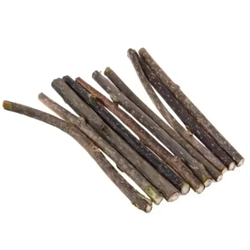 Natural Silvervine Sticks for Cats Teeth Cleaning Chew Toys Kitten Teething Training Catnip Teaser Pet Supplies
