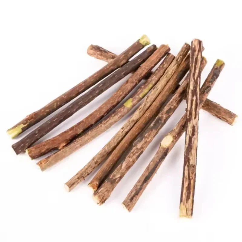 Natural Silvervine Sticks for Cats Teeth Cleaning Chew Toys Kitten Teething Training Catnip Teaser Pet Supplies